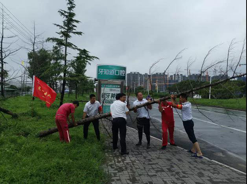 图片7.png 图片7.png