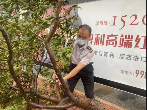 图片8.png