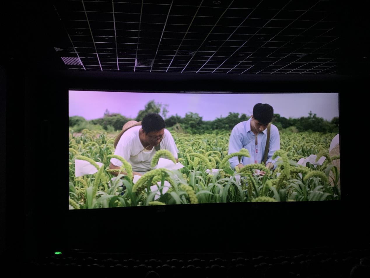 图片3.jpg 图片3.jpg