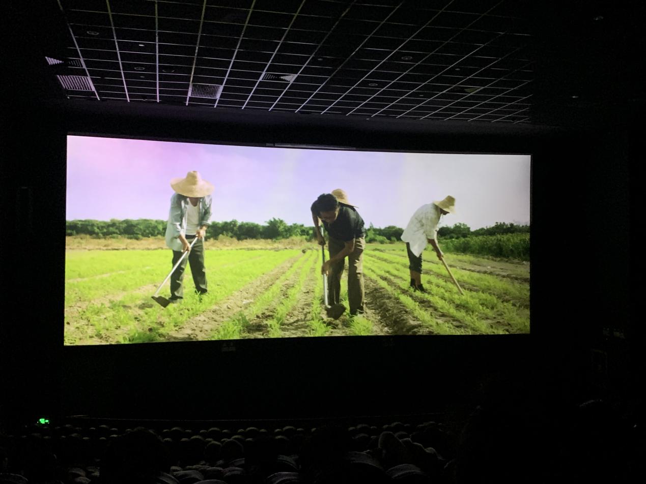 图片5.jpg 图片5.jpg