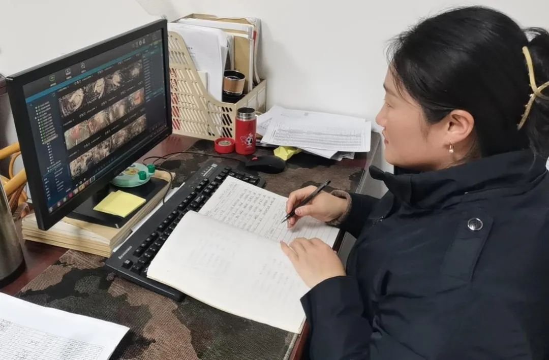 图片8.jpg 图片8.jpg